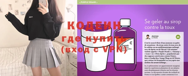 МДПВ Гусев