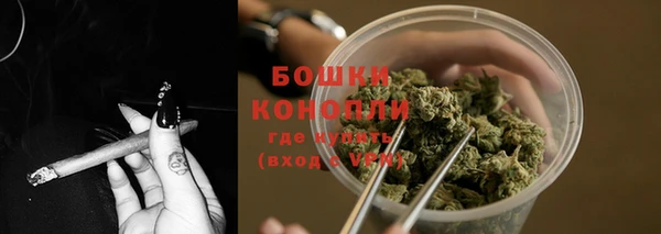 МДПВ Гусев